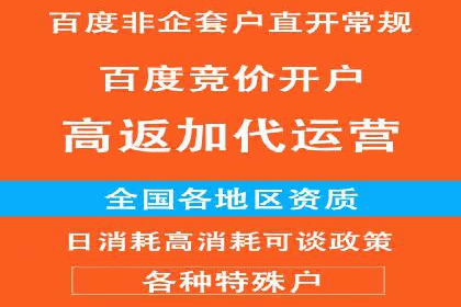 竞价排名在电商行业的实战案例